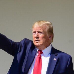 Donald Trump à Washington, le 29 juillet 2019.