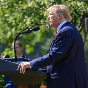 Donald Trump à Washington, le 29 juillet 2019.