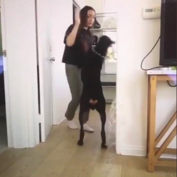 Brooke Houts apparaît dans une vidéo où elle maltraite son chien. Twiiter, le 7 août 2019.