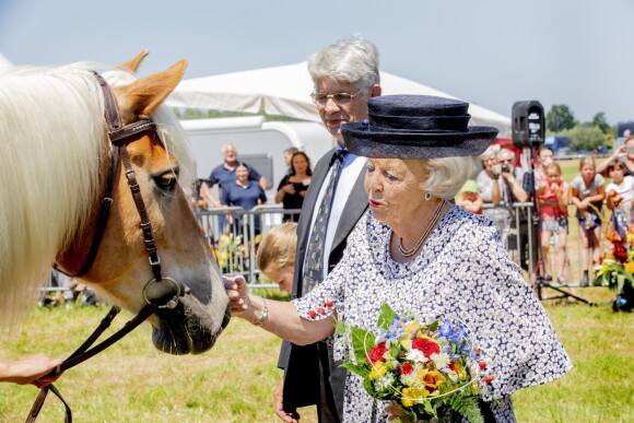 La princesse Beatrix des Pays-Bas lors de la 5e édition du "Zeeuwse Horse Day" à Oosterland, le 29 juin 2019.