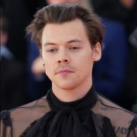 Harry Styles très marqué par sa rupture avec la Française Camille Rowe