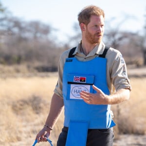 Le prince Harry, duc de Sussex, visite un champ de mines anti-personnelles à Dirico, dont l'élimination est entreprise par l'association Halo Trust (l'association qui enlève les débris laissés par la guerre, en particulier les mines terrestres). Angola, le 27 septembre 2019.