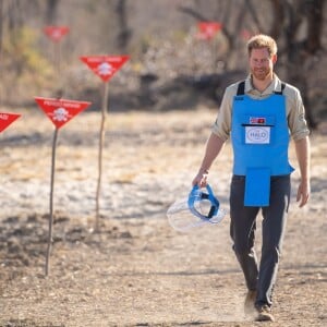 Le prince Harry, duc de Sussex, visite un champ de mines anti-personnelles à Dirico, dont l'élimination est entreprise par l'association Halo Trust (l'association qui enlève les débris laissés par la guerre, en particulier les mines terrestres). Angola, le 27 septembre 2019.