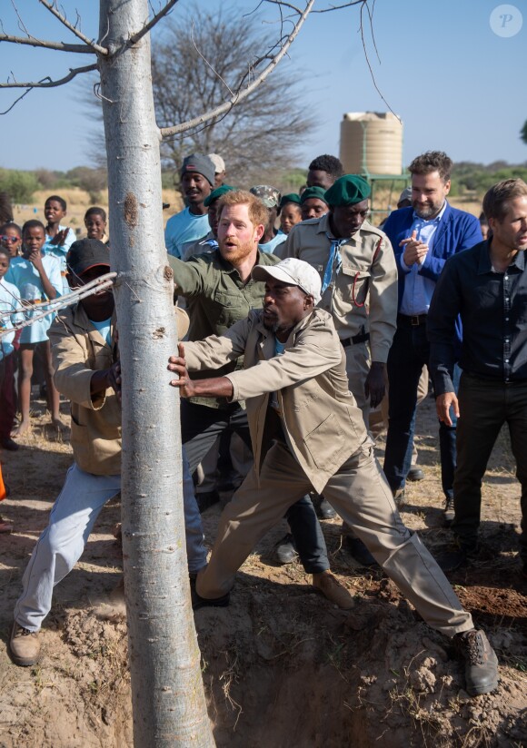 Le prince Harry, duc de Sussex, dans le parc national de Chobe au Botswana lors de sa visite officielle en Afrique australe, le 26 septembre 2019.