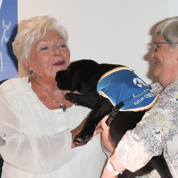 Line Renaud fait connaissance avec "Paris", un chiot d'Handi'Chiens, association qui a reçu un don de 15 000 euros, lors de la première édition de la remise du prix "Line Renaud - Loulou Gasté", pour la recherche médicale, à la Maison de la Recherche à Paris. Le 25 octobre 2019 © Coadic Guirec / Bestimage