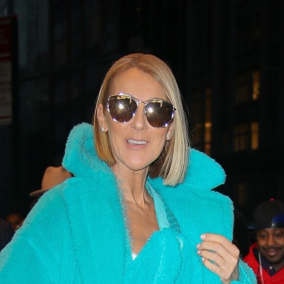 Céline Dion quitte l'hôtel Park Hyatt New York, entièrement habillée en Max Mara. Le 13 novembre 2019.