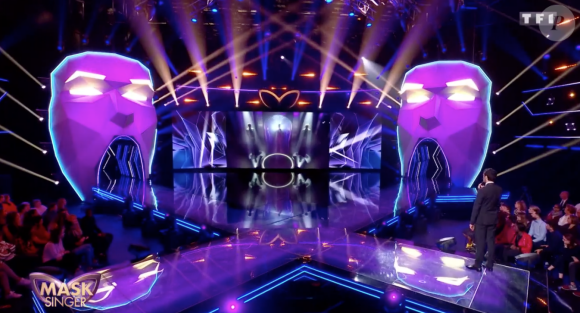 Mask Singer : Lio et Smaïn démasqués le 22 novembre 2019 sur TF1.