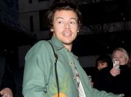 Harry Styles : Agressé à l'arme blanche le soir de la Saint-Valentin...