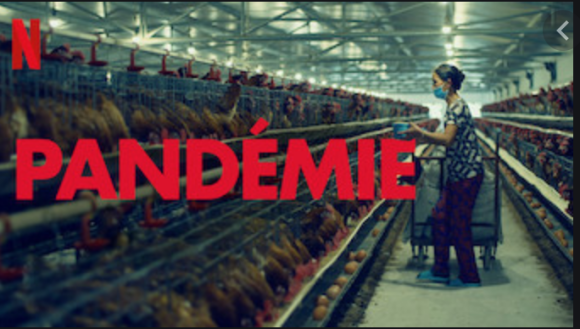 Affiche de "Pandémie" (Netflix).