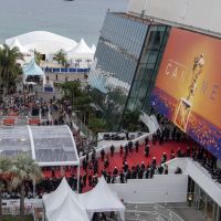 Festival de Cannes : Annulation confirmée à cause du Covid-19, un report étudié