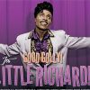 Little Richard, pionnier du rock et génie extravagant, est mort le 9 mai 2020 à 87 ans.