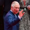 Le prince Charles - Arrivées sur le red carpet de la soirée "Prince's Trust Awards" au Palladium à Londres. Le 11 mars 2020