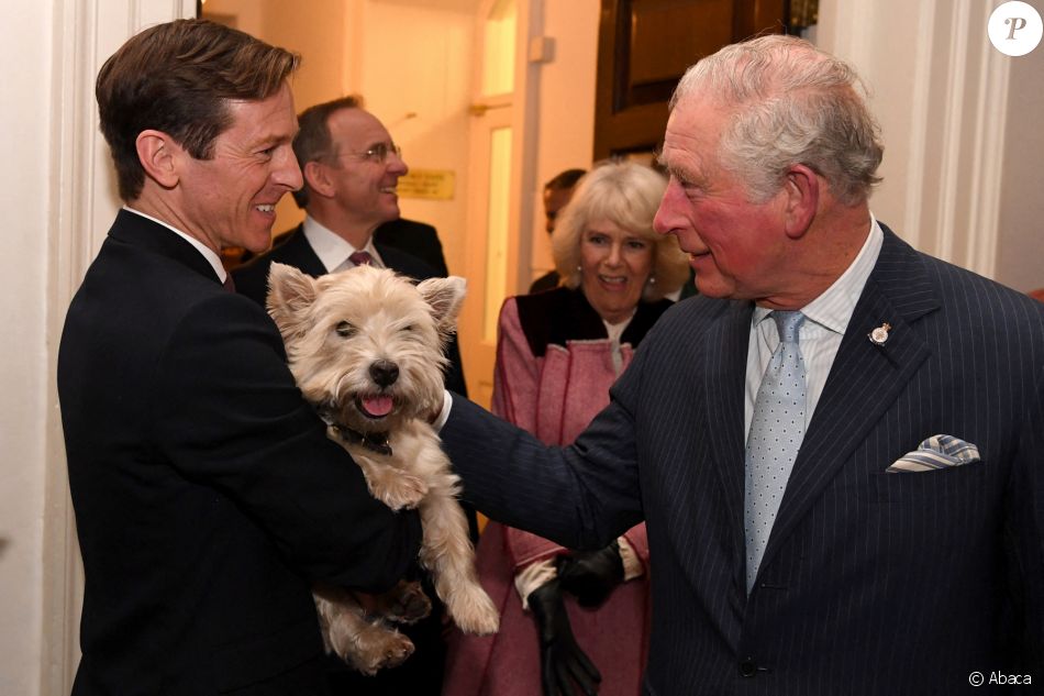 Le prince Charles avec Monty, le chien du Bureau du Cabinet à Londres ...