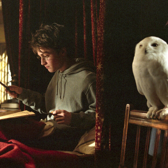 Daniel Radcliffe dans "Harry Potter et le prisonnier d'Azkaban". 2004. @Warner Bros/KRT/ABACA.