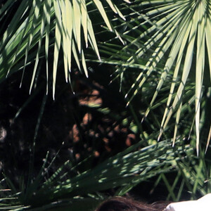 Exclusif - Eva Longoria et son fils Santiago profitent d'un après-midi ensoleillé dans un parc de Los Angeles, le 14 juin 2020. L'actrice de 45 ans porte un masque de protection contre le coronavirus (Covid-19).