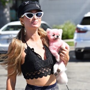 Paris Hilton se promène avec son petit chien (teint en rose) dans les rues de Malibu, le 6 juillet 2020.