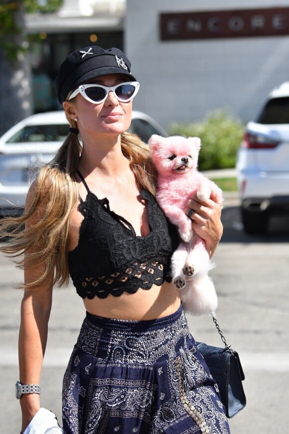 Paris Hilton se promène avec son petit chien (teint en rose) dans les rues de Malibu, le 6 juillet 2020.