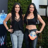 Brie Bella et Nikki Bella : les jumelles boxeuses accouchent au même moment