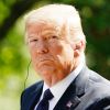 Le président Donald Trump reçoit le président de la Pologne Andrzej Duda à la Maison Blanche à Washington le 24 juin 2020.