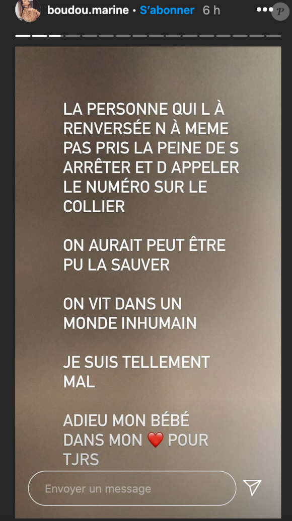 Marine Boudou (La Belle et ses princes) annonce la mort de son chat Peanuts - Instagram, 1er septembre 2020