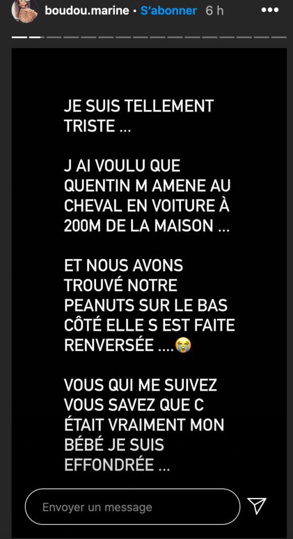 Marine Boudou (La Belle et ses princes) annonce la mort de son chat Peanuts - Instagram, 1er septembre 2020