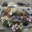 La tombe de Romy Schneider au cimetière de Boissy-sans-Avoir. Juin 1988