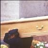 Les obsèques de Romy Schneider le 2 juin 1982 à Boissy-sans-Avoir dans les Yvelines.