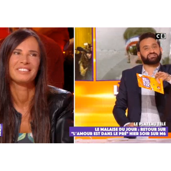 Nathalie Marquay révèle être sortie avec Pierre Cosso dans "Touche pas à mon poste" - mardi 29 septembre 2020, C8