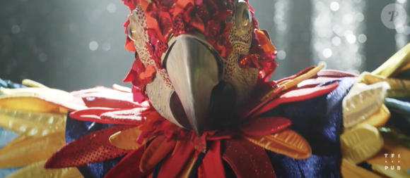 Le Perroquet, émission "Mask Singer" du 17 octobre 2020.