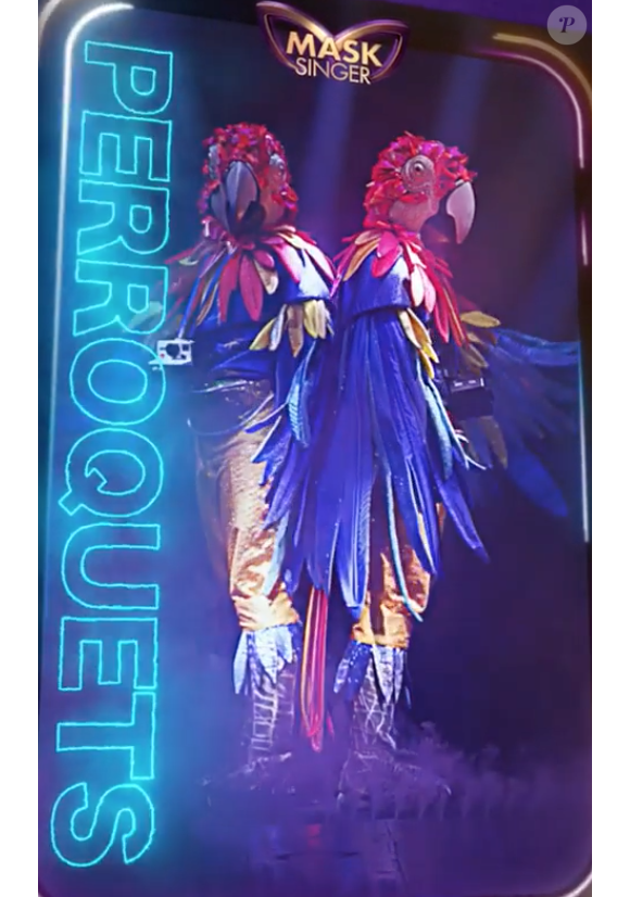 Le Perroquet, émission "Mask Singer" du 17 octobre 2020.