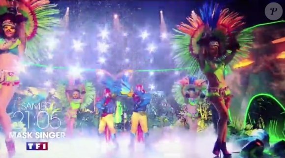 Le Perroquet, émission "Mask Singer" du 17 octobre 2020.