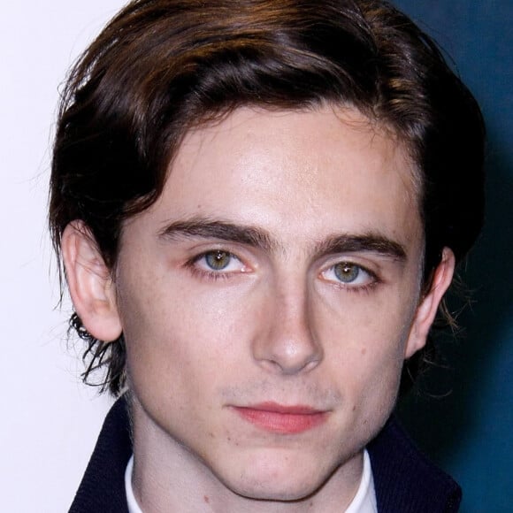 Timothée Chalamet - People à la soirée "Vanity Fair Oscar Party" après la 92ème cérémonie des Oscars 2020 au Wallis Annenberg Center for the Performing Arts à Los Angeles, le 9 février 2020.