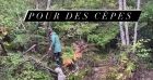 Laure Manaudou partage une vidéo de Jérémy Frérot le 16 octobre 2020 sur Instagram.