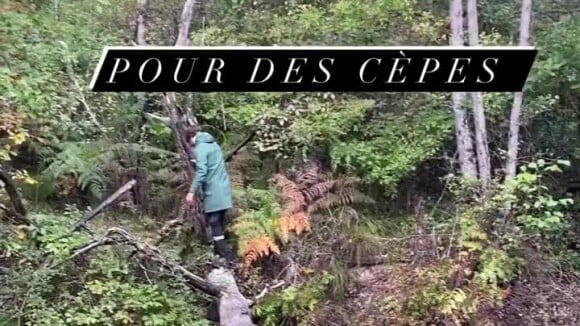 Laure Manaudou partage une vidéo de Jérémy Frérot le 16 octobre 2020 sur Instagram.