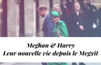 La nouvelle vie de Meghan Markle et Harry en Californie depuis leur départ de la monarchie britannique, en mars 2020.