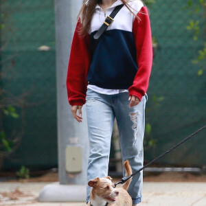 Lily Collins et sa mère Jill Tavelman, équipées de masques, promènent leur chien à Beverly Hills pendant l'épidémie de coronavirus (Covid-19), le 29 avril 2020.
