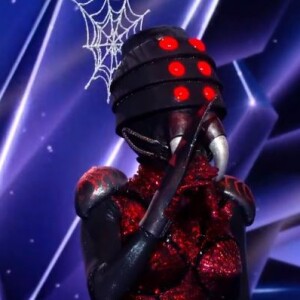 L'Araignée dans "Mask Singer 2020", le 24 octobre 2020, sur TF1