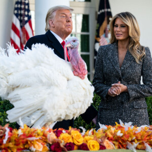 Le président Donald Trump et sa femme Melania lors de la cérémonie de pardon avec la dinde graciée Corn à la Maison Blanche le 24 novembre 2020.