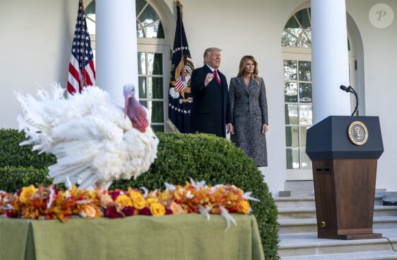 Le président des Etats-Unis Donald Trump gracie, en compagnie de la première dame Melania Trump, la dinde "Corn" lors de la traditionnelle grâce présidentielle avant la fête de Thanksgiving à la Maison Blanche à Washington, le 24 novembre 2020.