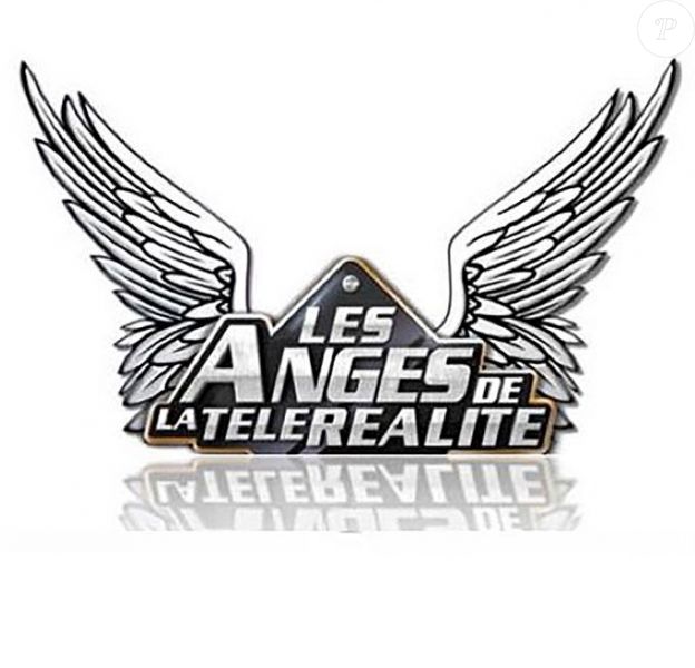 Logo de l'émission "Les Anges".