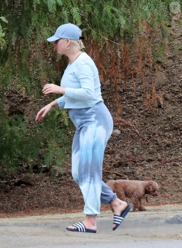 Exclusif - Katy Perry se balade avec son chien Nugget le jour de son anniversaire (36 ans) à Los Angeles pendant l'épidémie de coronavirus (Covid-19). Le 25 octobre 2020.