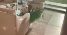 Nabilla est partie fêter son anniversaire dans une villa de luxe avec son mari Thomas et leur fils Milann (1 an) à quelques heures de Dubaï - Instagram