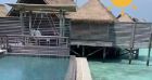 Cathy Guetta s'est offert des vacances aux Maldives en famille.