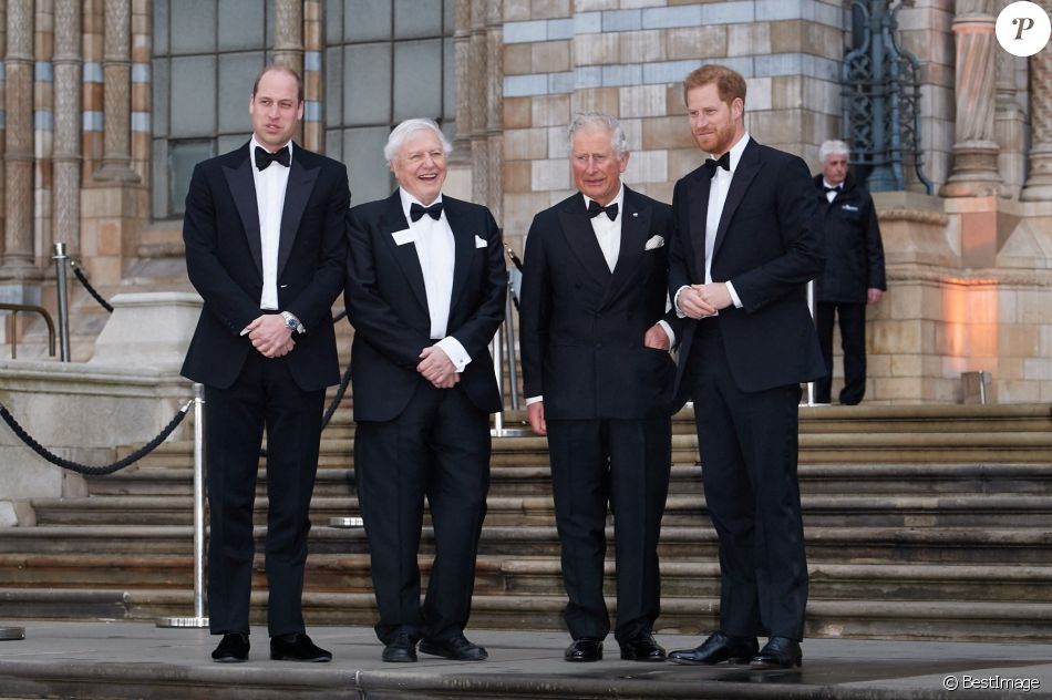 Le prince William, duc de Cambridge, Sir David Attenborough, le prince Charles, prince de Galles, le prince Harry, duc de Sussex, à la première de la série Netflix "Our Planet" au Musée d'Histoires Naturelles à Londres, le 4 avril 2019.