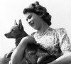 La reine Elizabeth II tenant dans ses bras un corgi, en 1960.