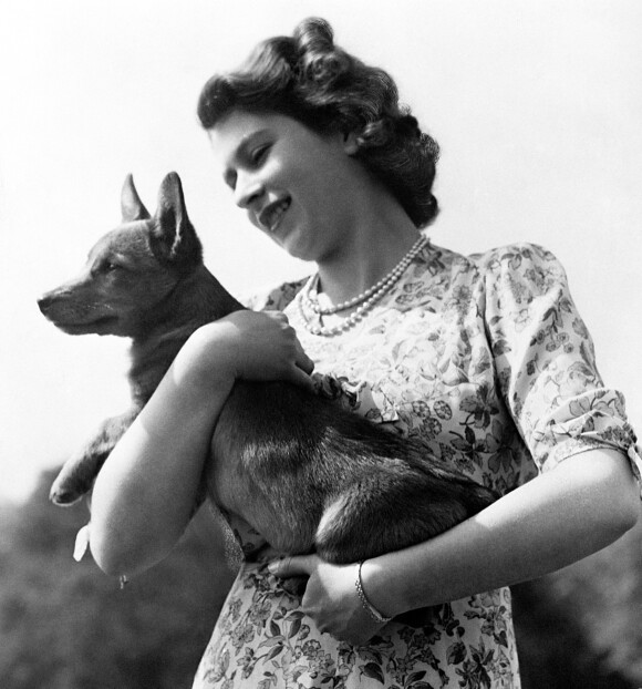 La reine Elizabeth II tenant dans ses bras un corgi, en 1960.