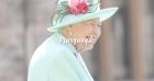 Elizabeth II réconfortée : la reine a reçu deux jeunes corgis en cadeau !