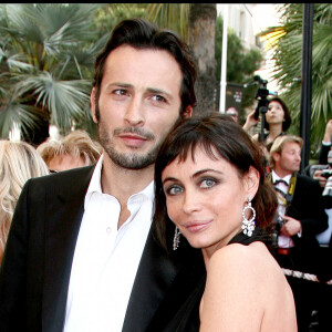 Emmanuelle Béart et son ex Michael Cohen - Montée des marches du 61e Festival de Cannes 2008