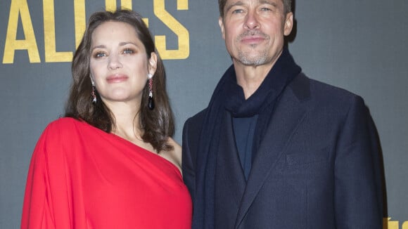 Marion Cotillard, les rumeurs d'infidélités avec Brad Pitt : "En deux minutes, ta femme devient une salope, une vipère"