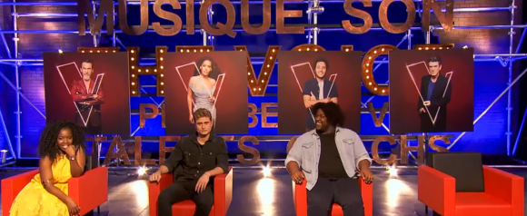 Stellia, Alexis et Luc en ballotage dans "The Voice 2021", TF1